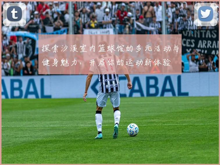 探索沙溪室内篮球馆的多元活动与健身魅力，开启你的运动新体验