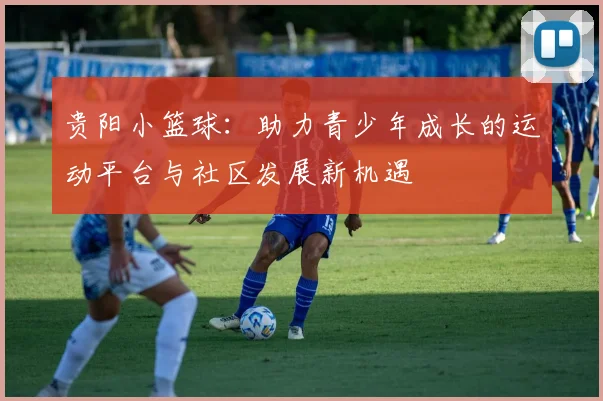 贵阳小篮球：助力青少年成长的运动平台与社区发展新机遇