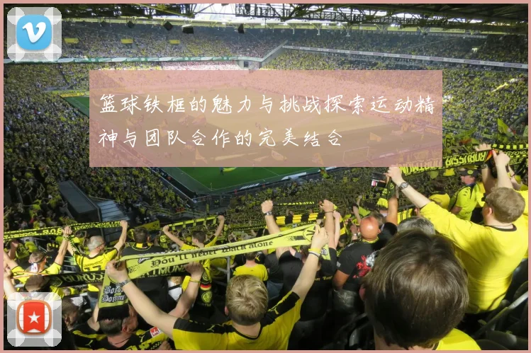 篮球铁框的魅力与挑战探索运动精神与团队合作的完美结合