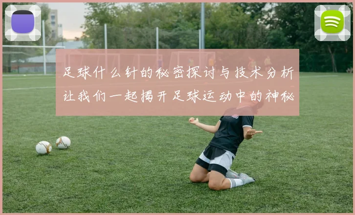 足球什么针的秘密探讨与技术分析让我们一起揭开足球运动中的神秘面纱