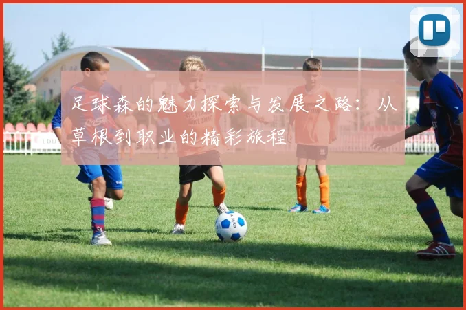 足球森的魅力探索与发展之路：从草根到职业的精彩旅程